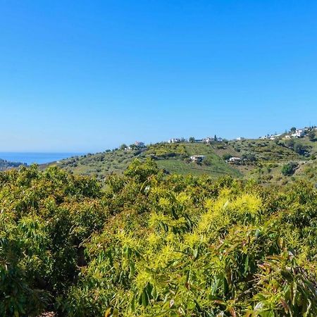 Villa Javier De Frigiliana By Ruralidays Bagian luar foto